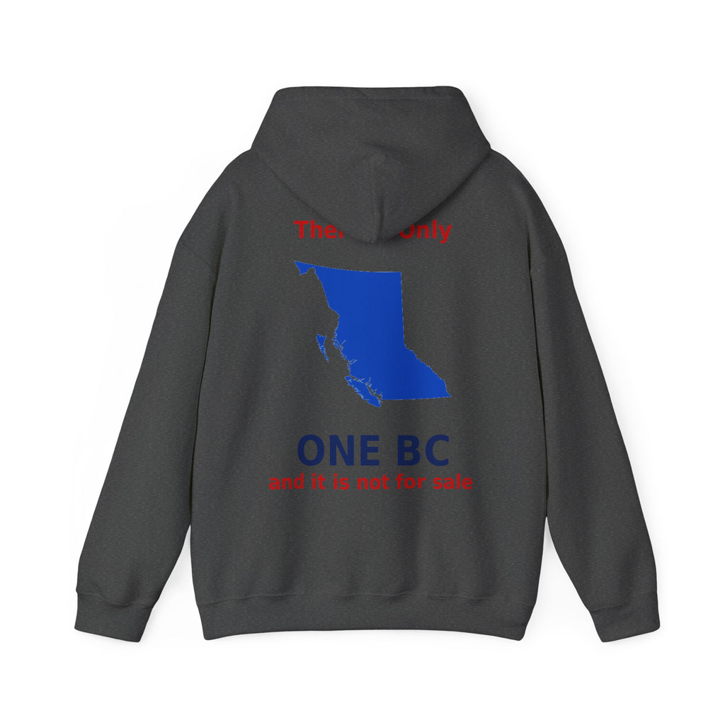 There is Only ONE BC. and it's not for sale - view 29