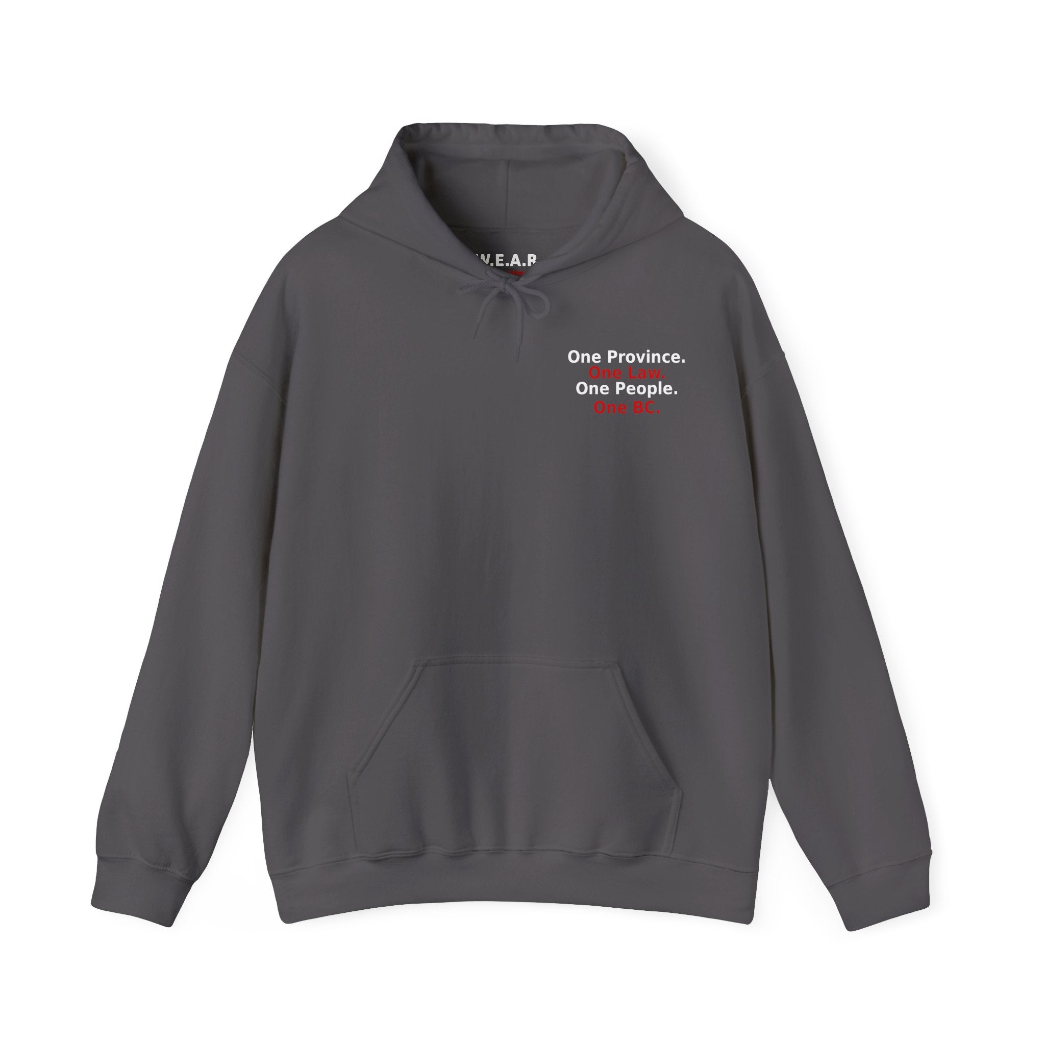 Truth & Reconciliation / Making a Killing Video QR code Hoodie - view 4