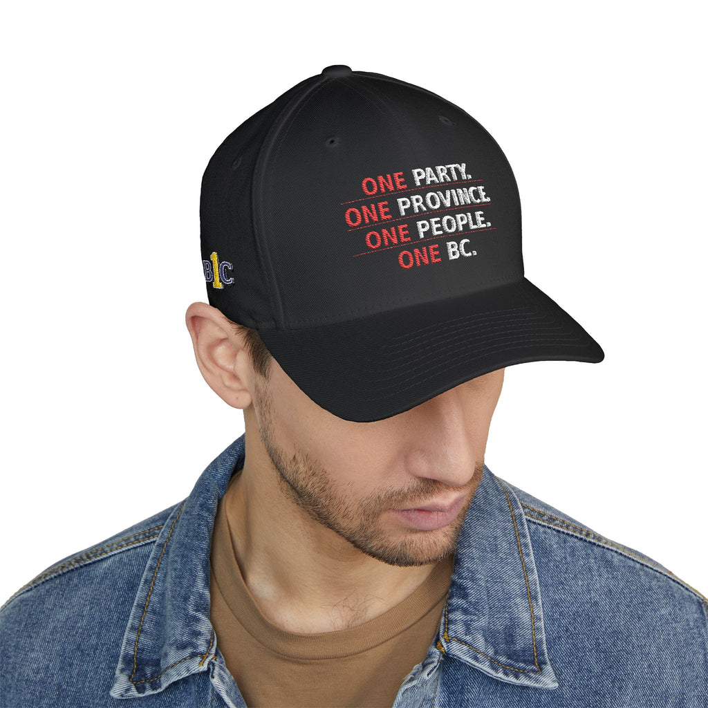 One Party, One Province, One People, One BC - Structured cap-Embroidered-Flex fit