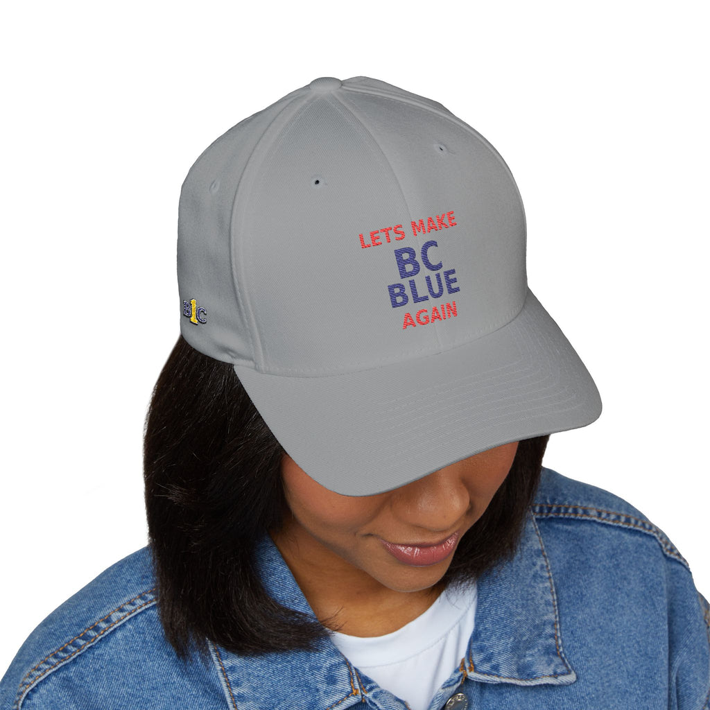 Make  BC Blue Again. - view 7