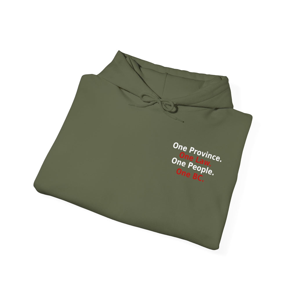 Truth & Reconciliation / Making a Killing Video QR code Hoodie - view 11