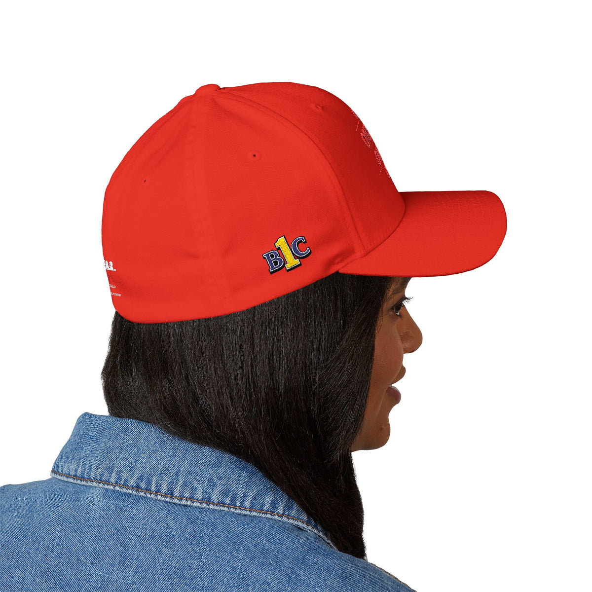 One Party, One Province, One People, One BC - Structured cap-Embroidered-Flex fit