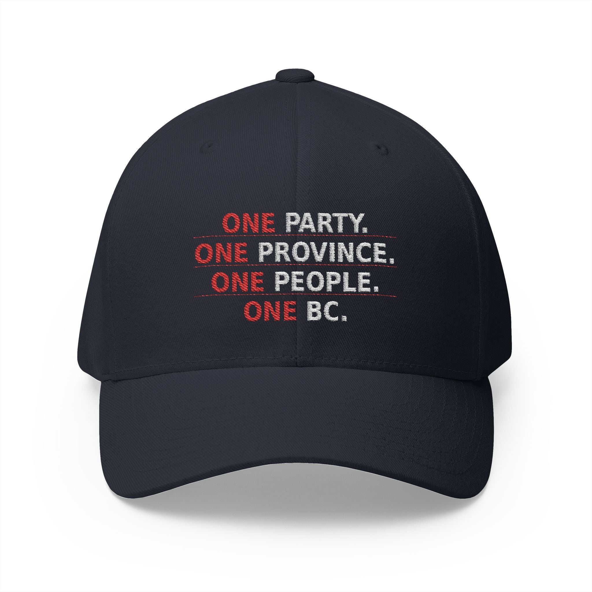 One Party One Province One People One BC - view 4