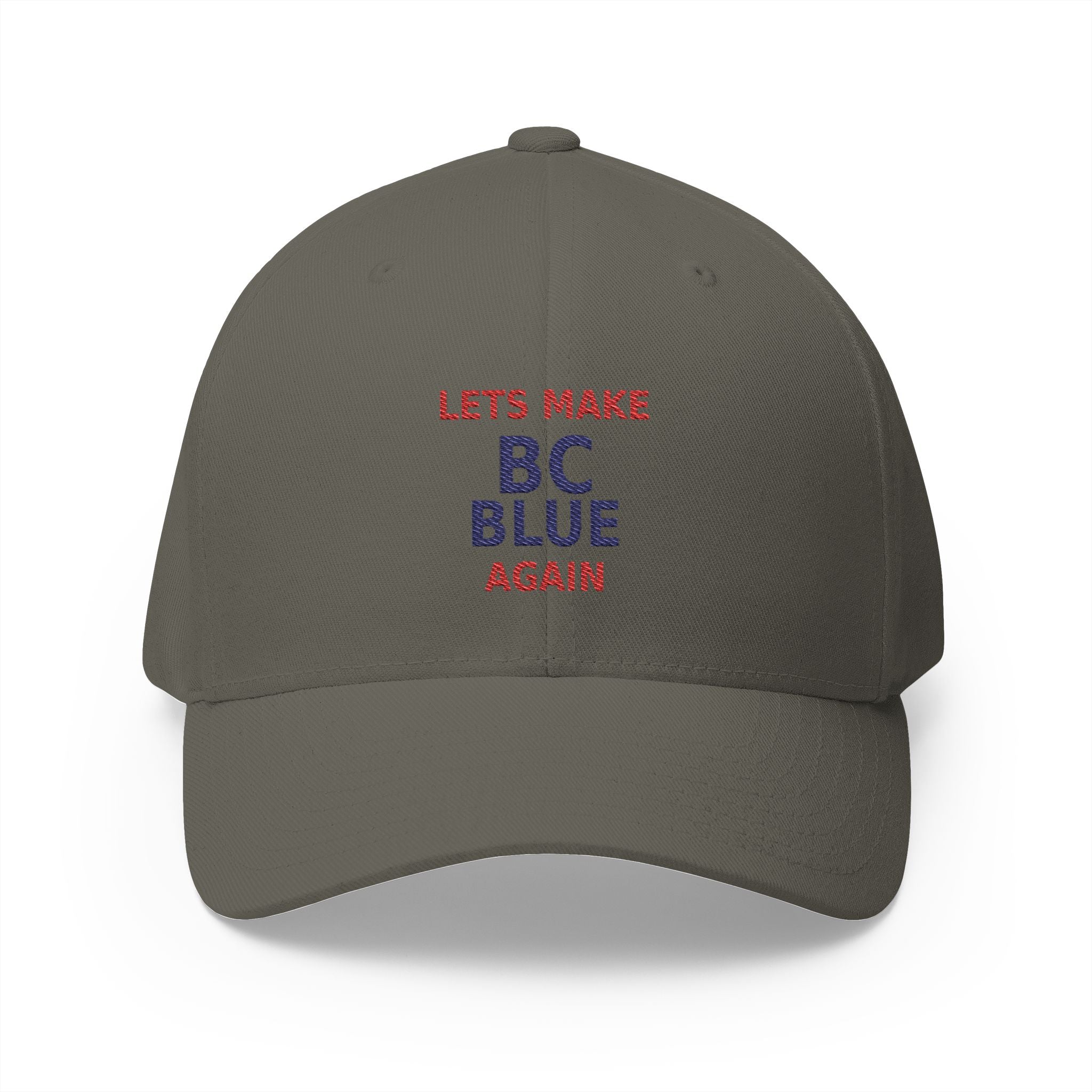 Make  BC Blue Again. - view 4