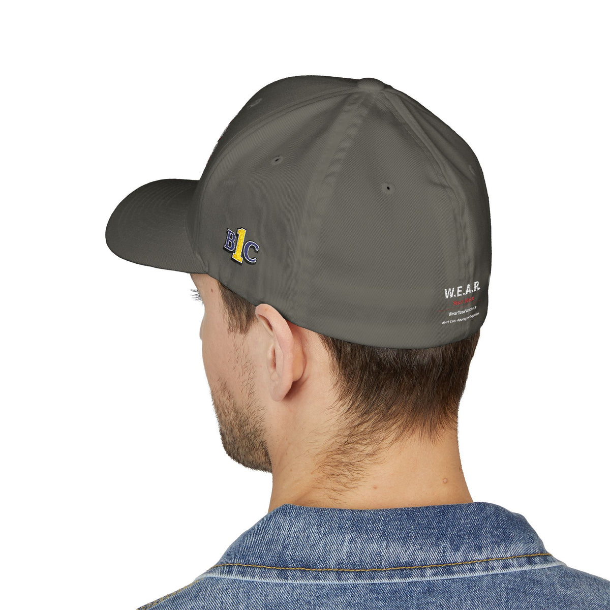One Party, One Province, One People, One BC - Structured cap-Embroidered-Flex fit