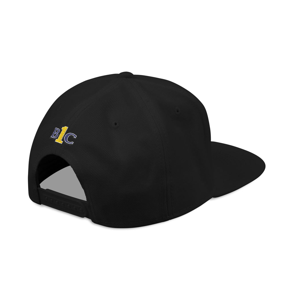 Embroidered - Our Ancestors Shapes This Province - Snapback Hat