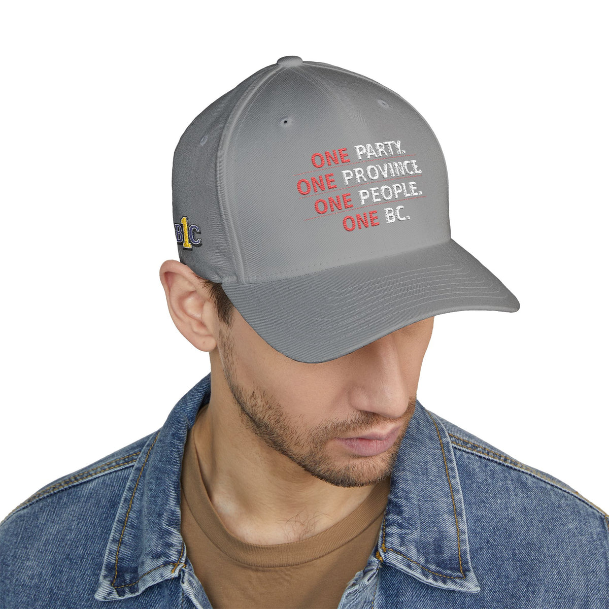 One Party, One Province, One People, One BC - Structured cap-Embroidered-Flex fit