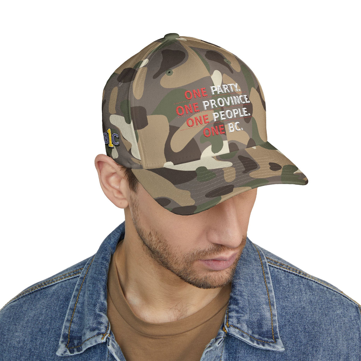 One Party, One Province, One People, One BC - Structured cap-Embroidered-Flex fit