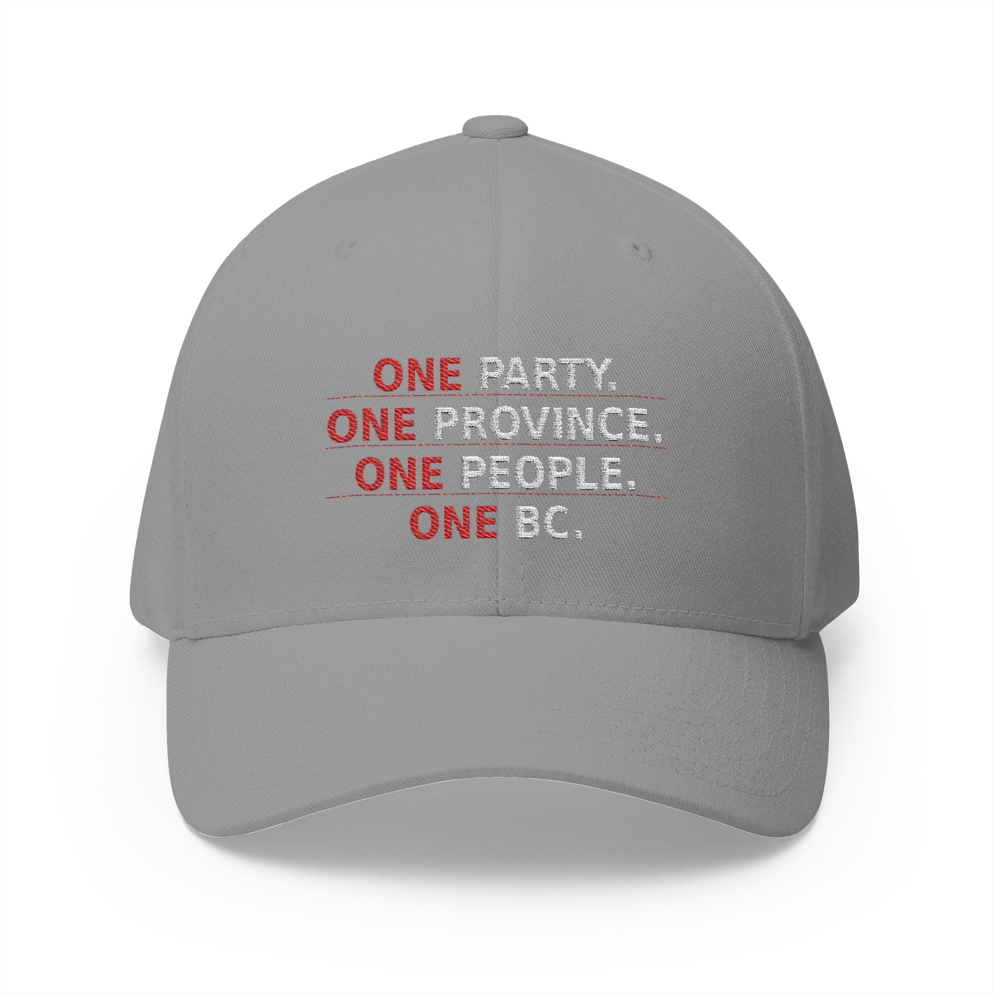 One Party One Province One People One BC - view 7