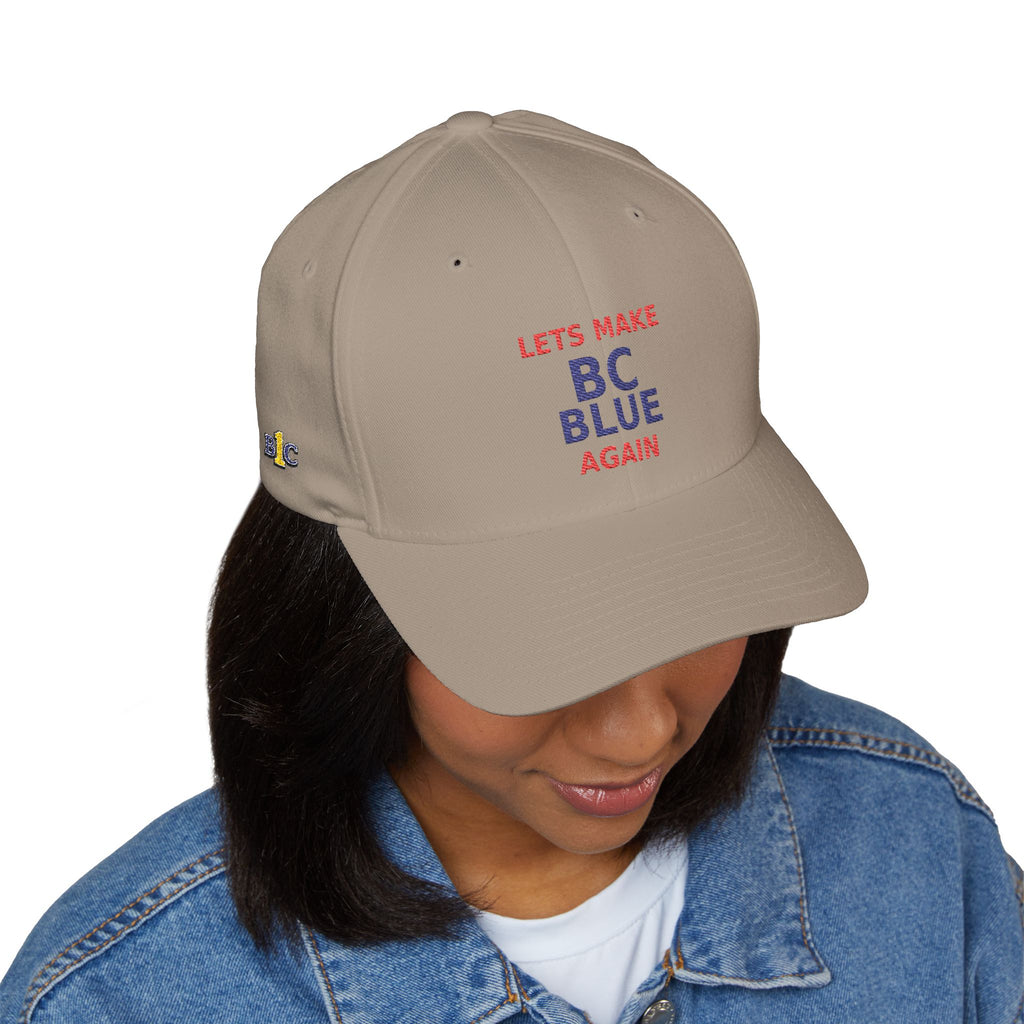 Make  BC Blue Again. - view 13