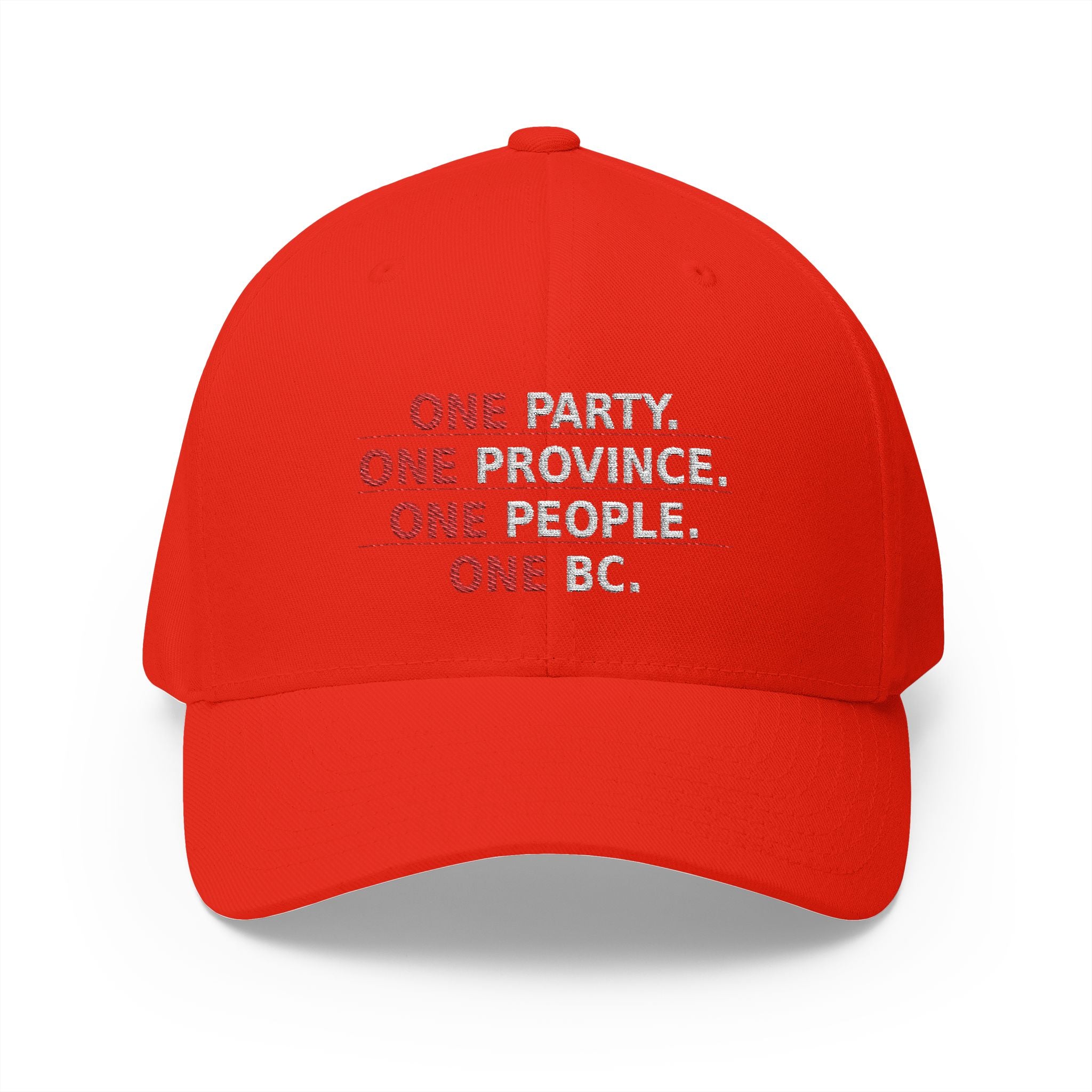 One Party One Province One People One BC - view 11