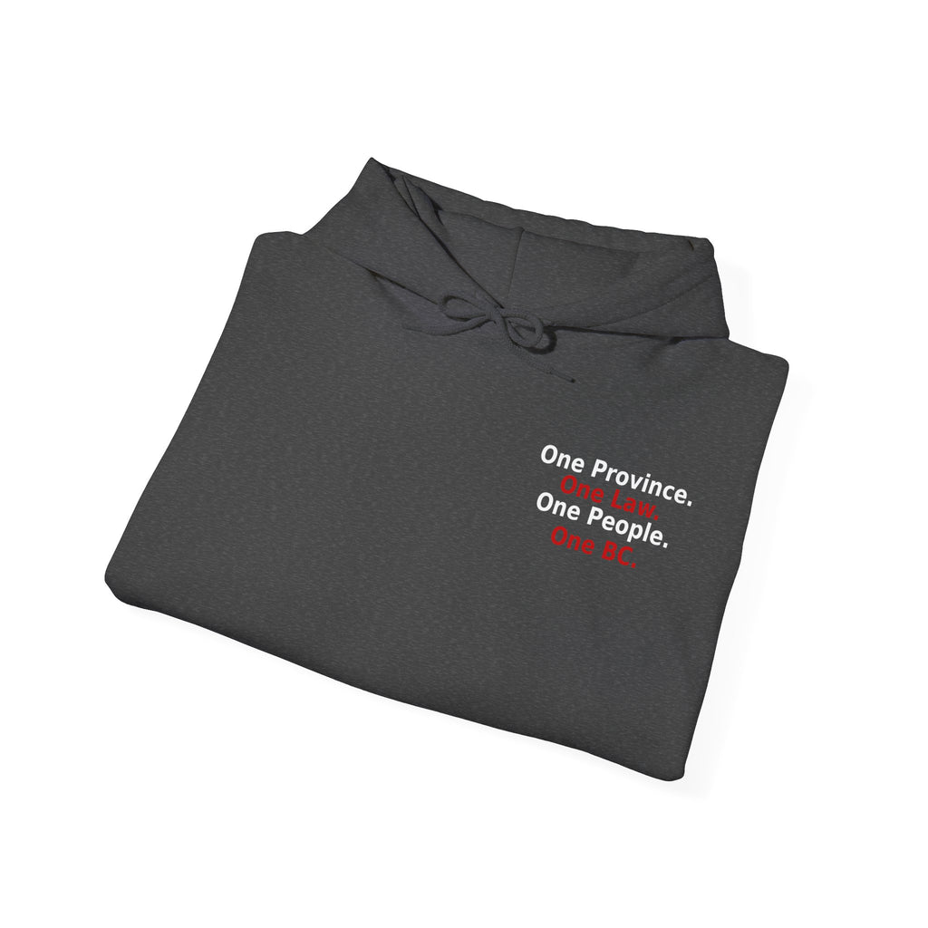 Truth & Reconciliation / Making a Killing Video QR code Hoodie - view 14