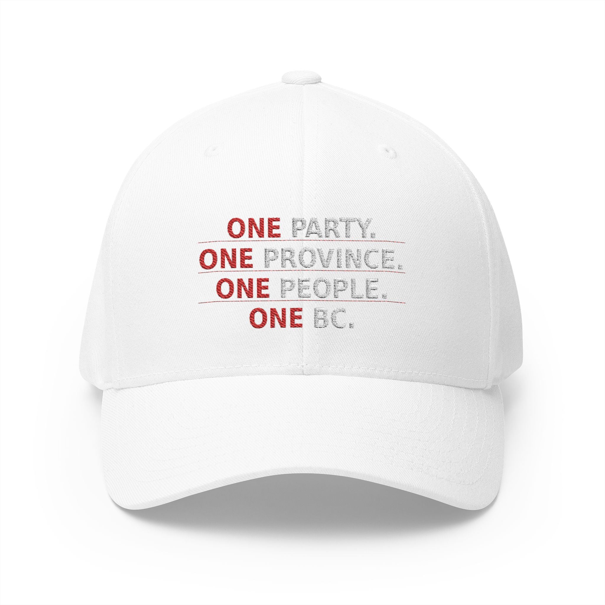One Party One Province One People One BC - view 6