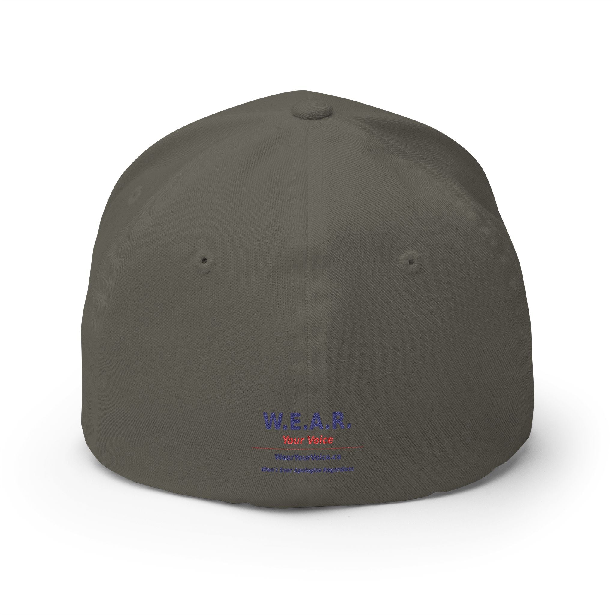 Make  BC Blue Again. - view 15