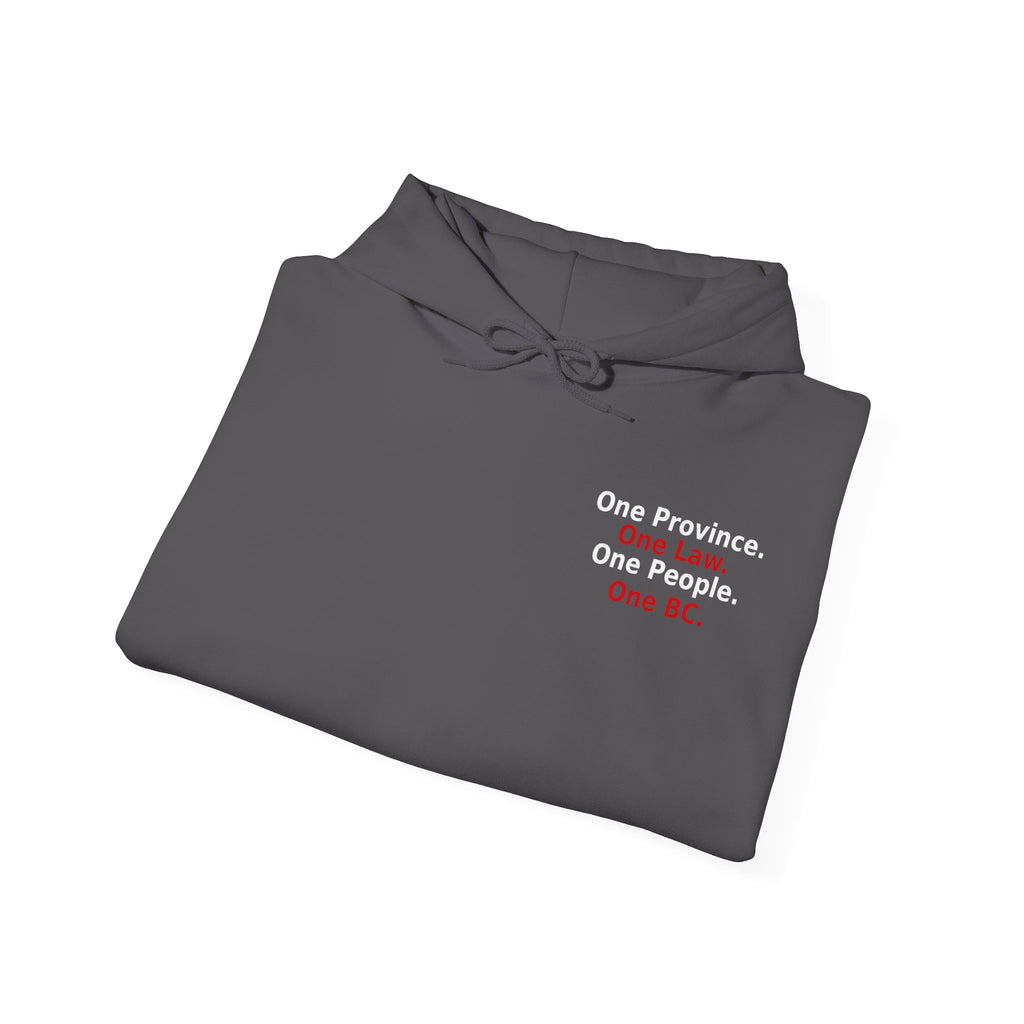 Truth & Reconciliation / Making a Killing Video QR code Hoodie - view 17