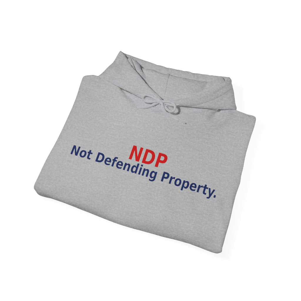 NDP - Not  Defending Property - view 19