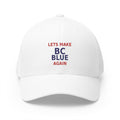 Make  BC Blue Again. - view 2