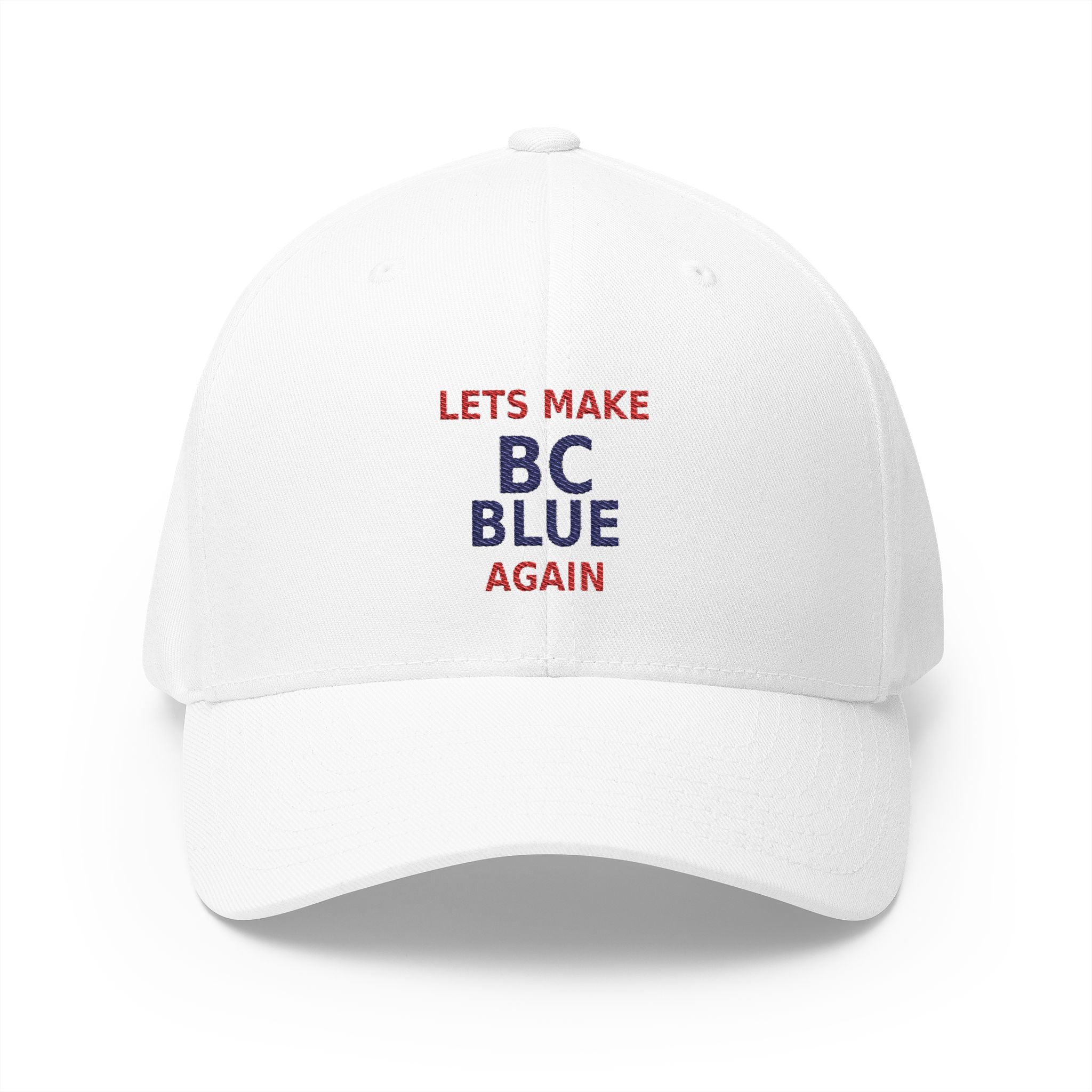 Make  BC Blue Again. - view 2