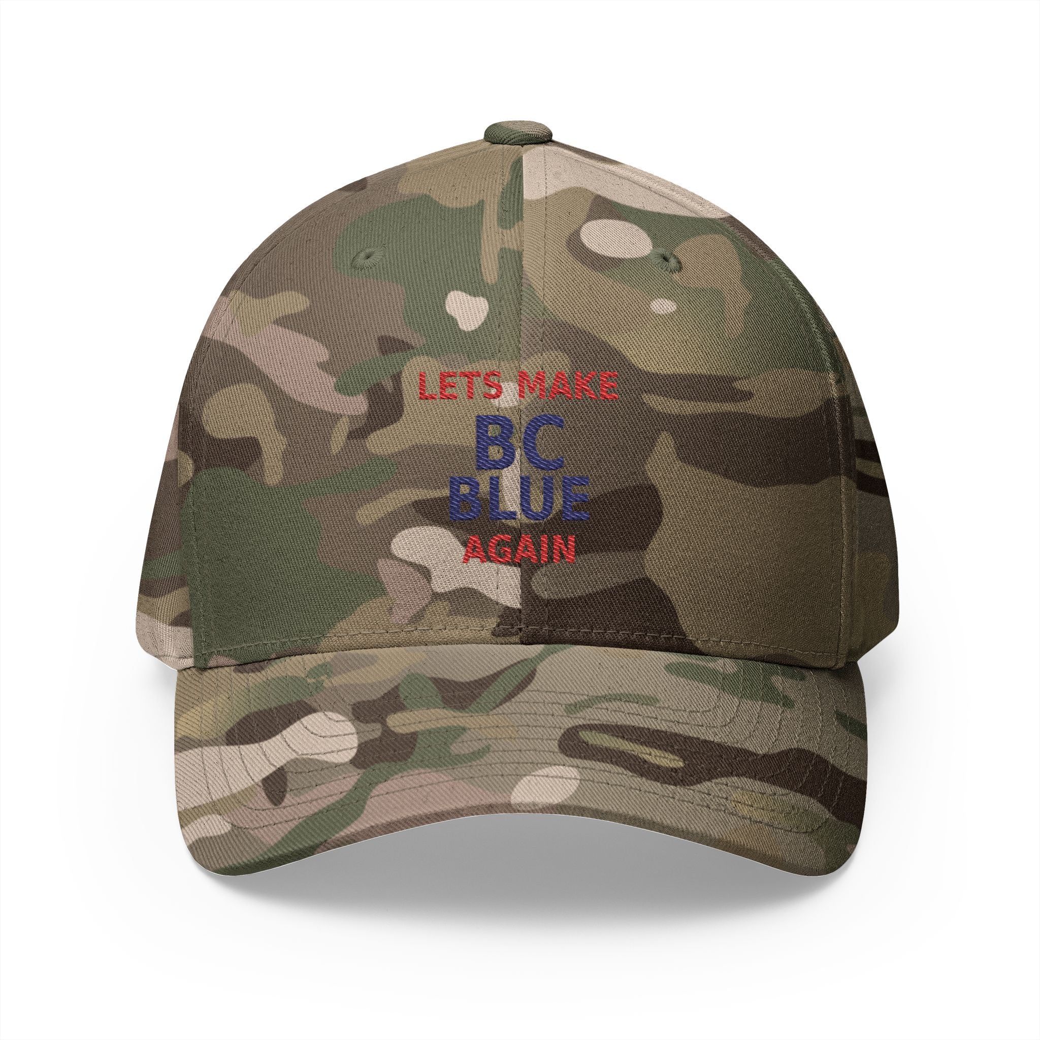 Make  BC Blue Again. - view 5