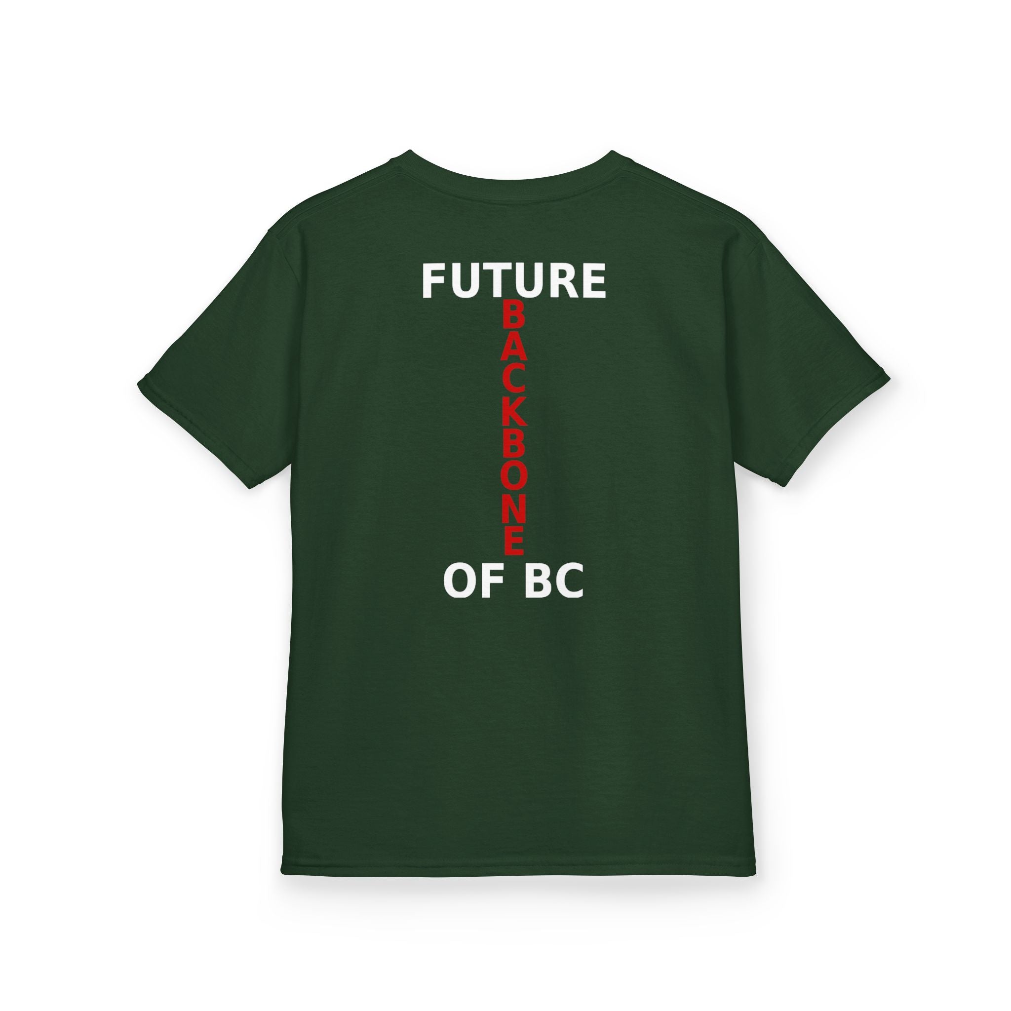 Kids Tee — My Dad Built This Province