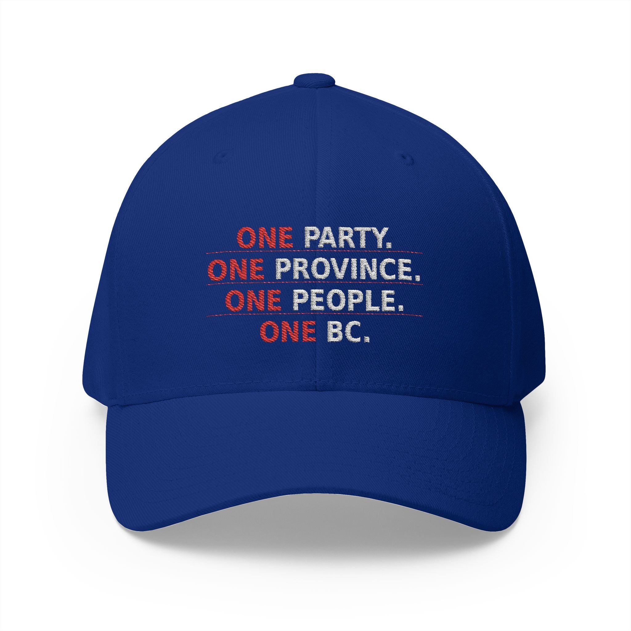 One Party One Province One People One BC - view 10