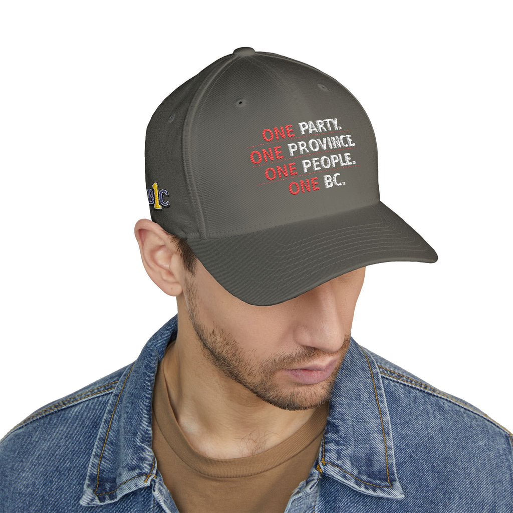 One Party, One Province, One People, One BC - Structured cap-Embroidered-Flex fit