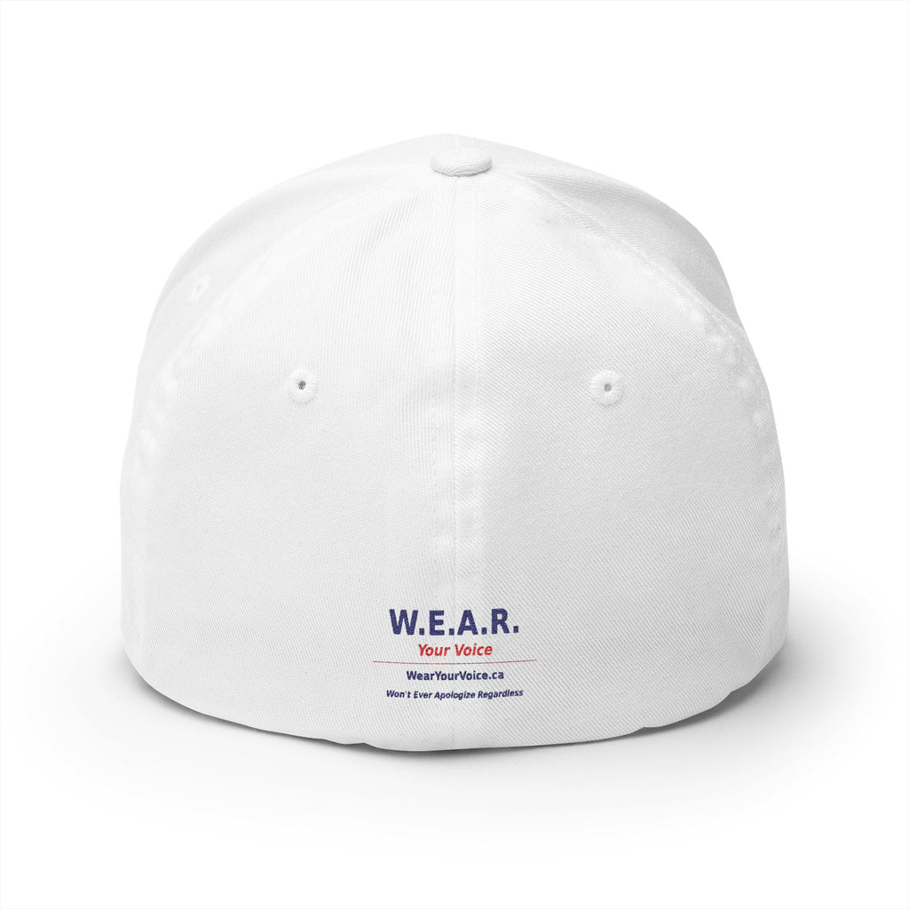 Make  BC Blue Again. - view 9