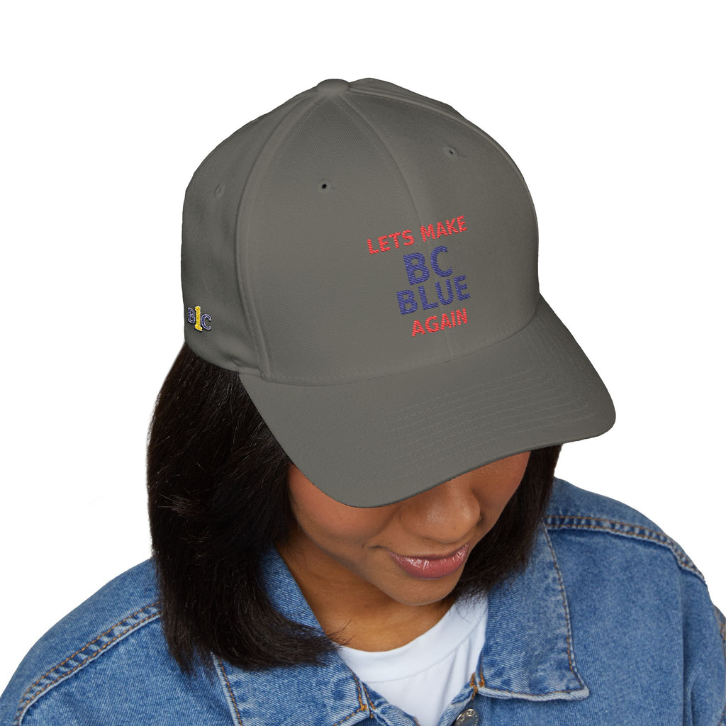 Make  BC Blue Again. - view 16