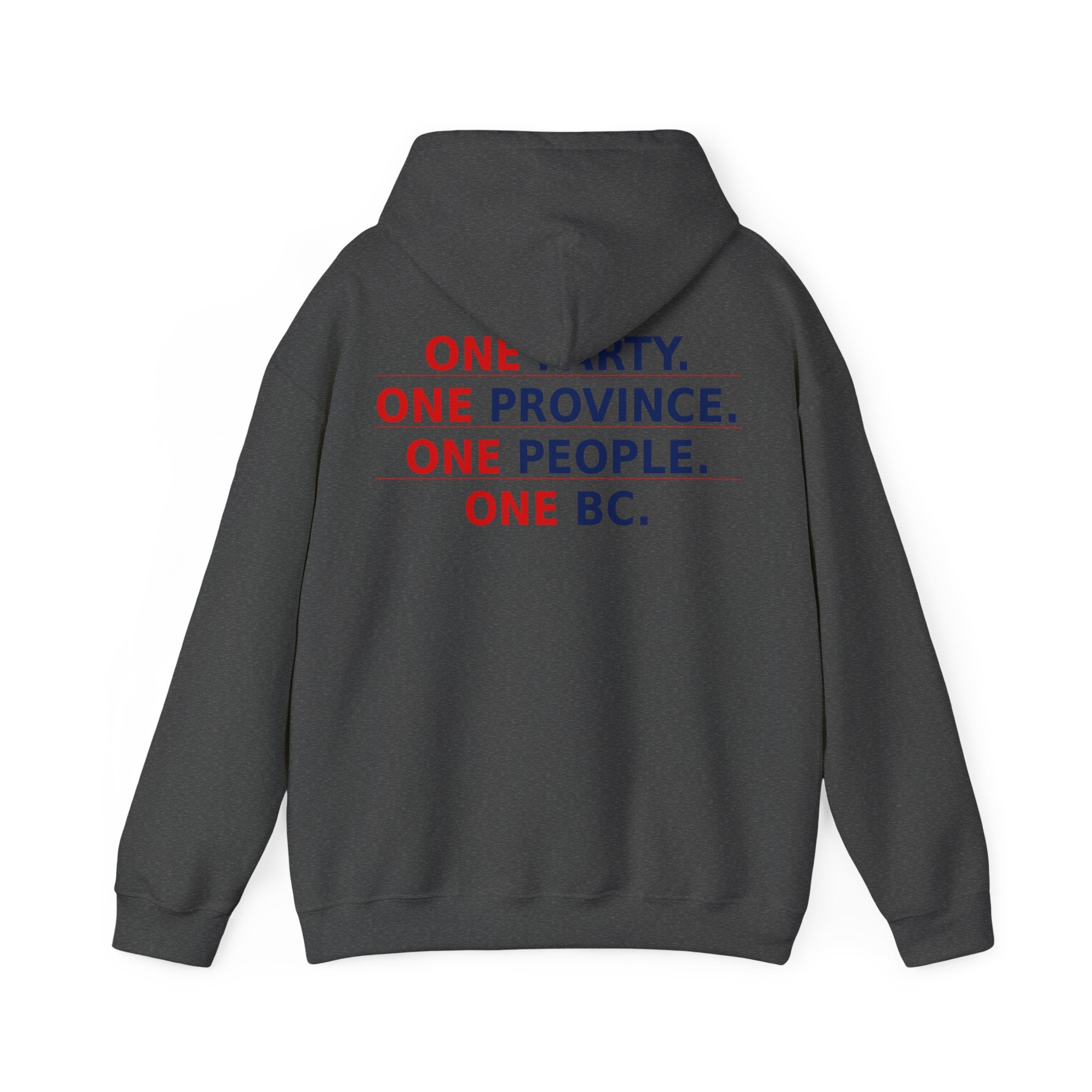 ONE PARTY. ONE PROVINCE. ONE PEOPLE. ONE BC. - view 26