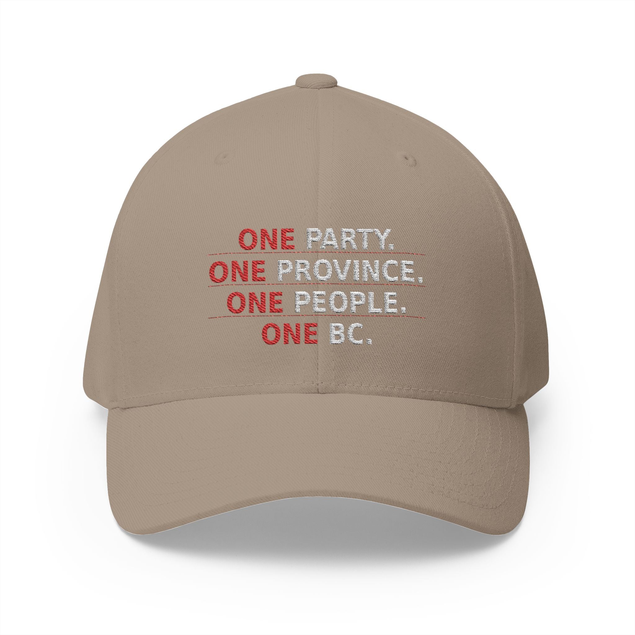 One Party One Province One People One BC - view 8