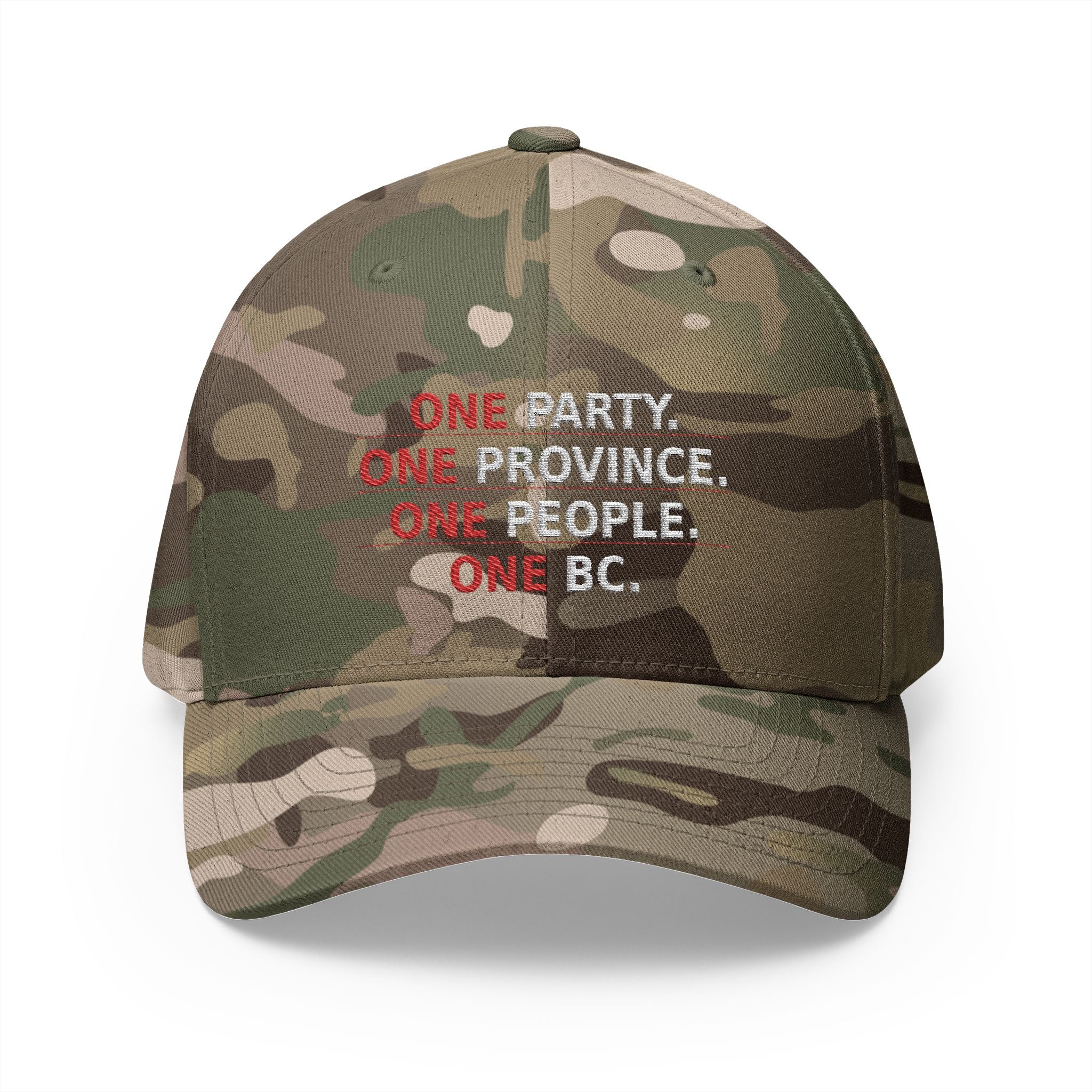 One Party One Province One People One BC - view 9