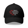 One Party, One Province, One People, One BC - Structured cap-Embroidered-Flex fit