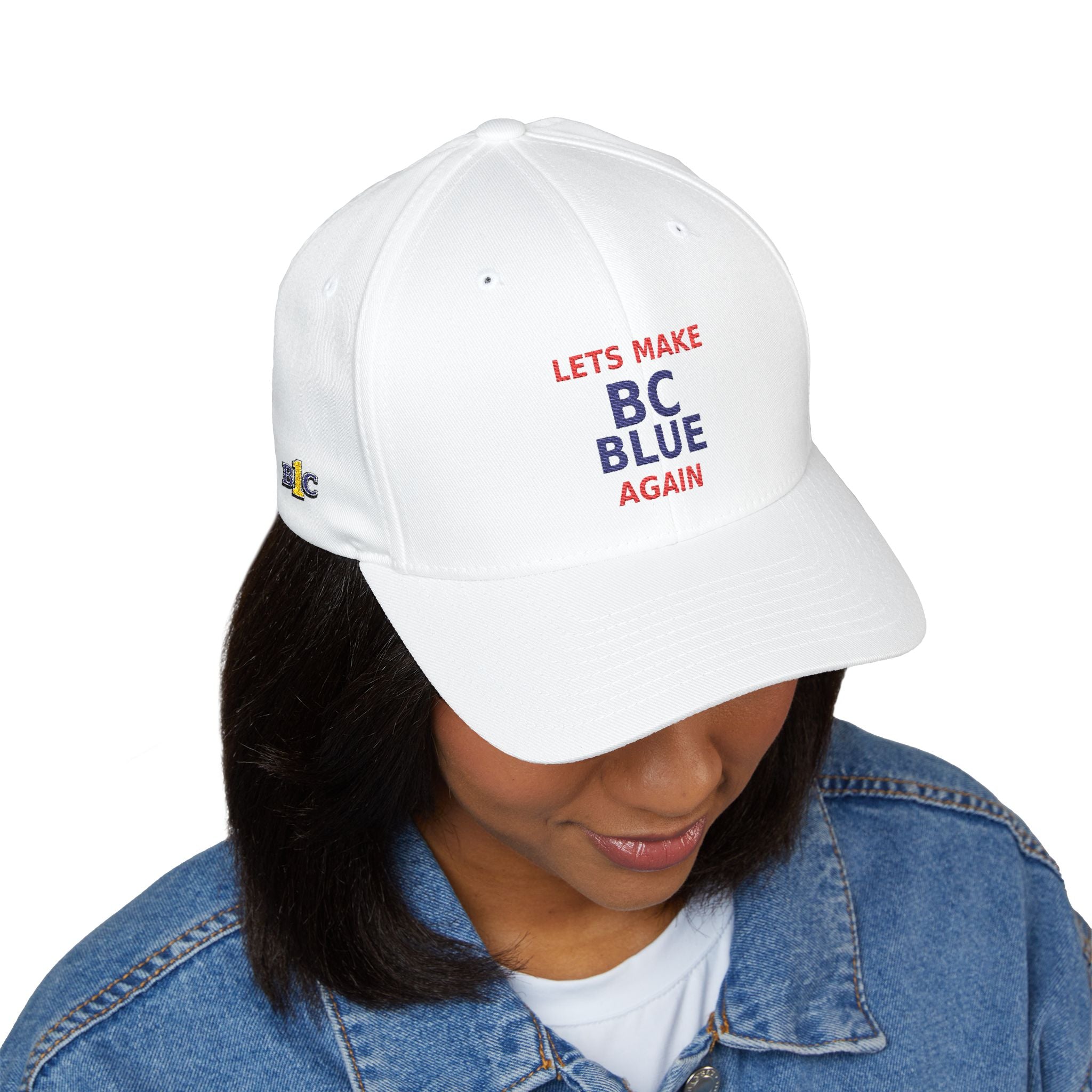 Make  BC Blue Again. - view 10