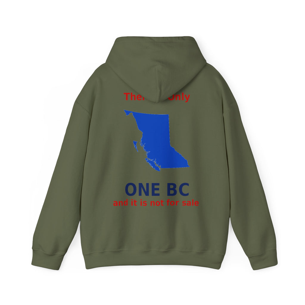 There is Only ONE BC. and it's not for sale - view 26