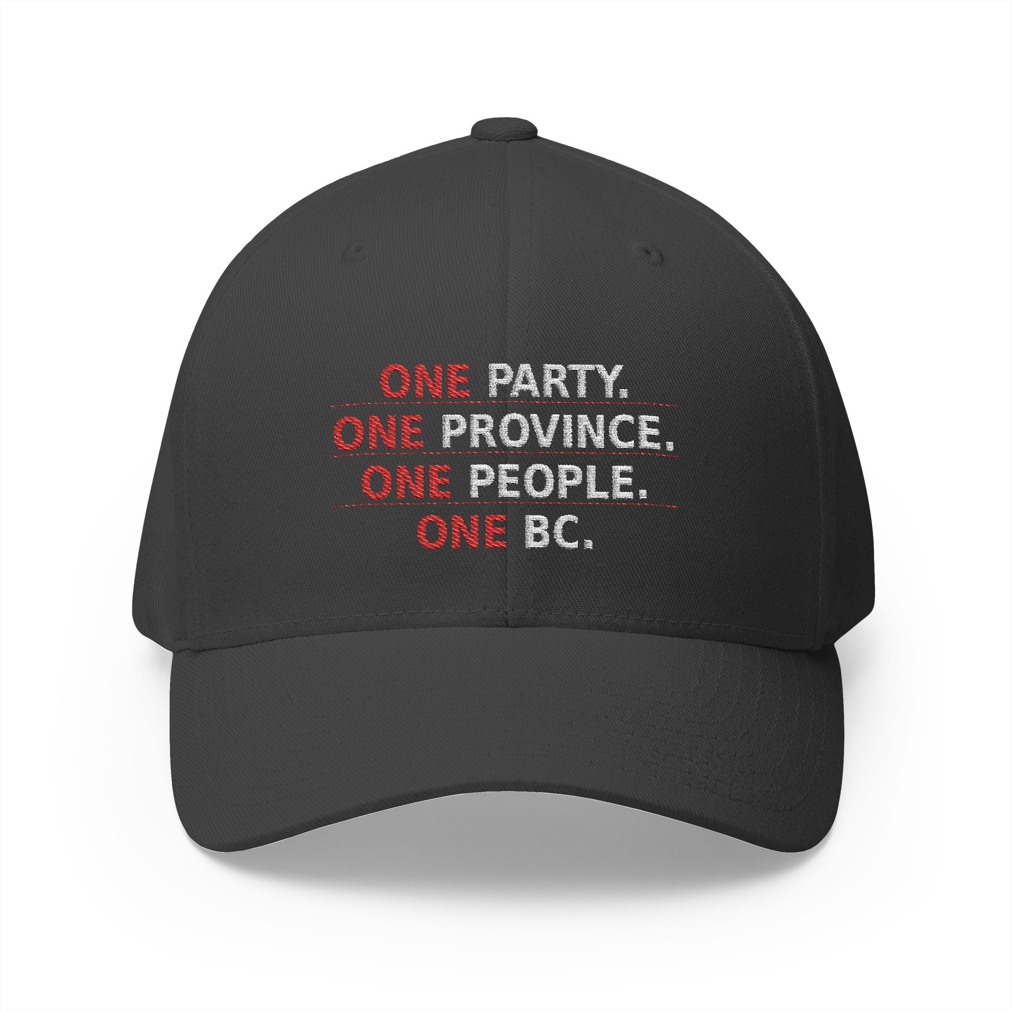 One Party One Province One People One BC - view 5